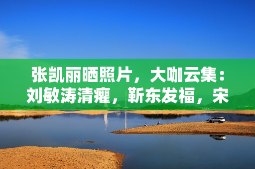 张凯丽晒照片，大咖云集：刘敏涛清癯，靳东发福，宋佳快认不出了