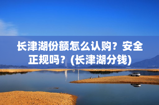 长津湖份额怎么认购？安全正规吗？(长津湖分钱)