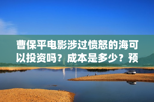 曹保平电影涉过愤怒的海可以投资吗？成本是多少？预估票房？  (曹保平的经典电影)