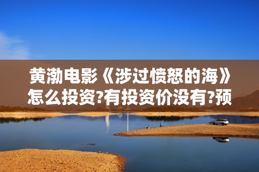 黄渤电影《涉过愤怒的海》怎么投资?有投资价没有?预估收益?