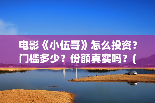 电影《小伍哥》怎么投资？门槛多少？份额真实吗？(小伍哥在线观看)