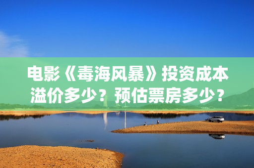 电影《毒海风暴》投资成本溢价多少？预估票房多少？怎么投资? (电影《毒海风暴》在线观看)