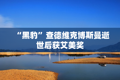 “黑豹”查德维克博斯曼逝世后获艾美奖 “黑豹”查德维克博斯曼逝世后获艾美奖