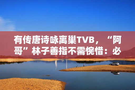 有传唐诗咏离巢TVB，“阿哥”林子善指不需惋惜：必然支撑