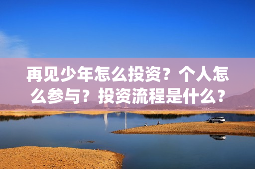 再见少年怎么投资？个人怎么参与？投资流程是什么？(再见,少年怎么投)