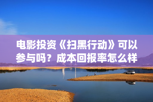 电影投资《扫黑行动》可以参与吗？成本回报率怎么样？是保本的吗？(扫黑这部电影)
