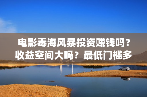 电影毒海风暴投资赚钱吗？收益空间大吗？最低门槛多少？(毒海风暴真实情况)