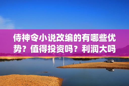 侍神令小说改编的有哪些优势？值得投资吗？利润大吗？(侍神令小说原著)