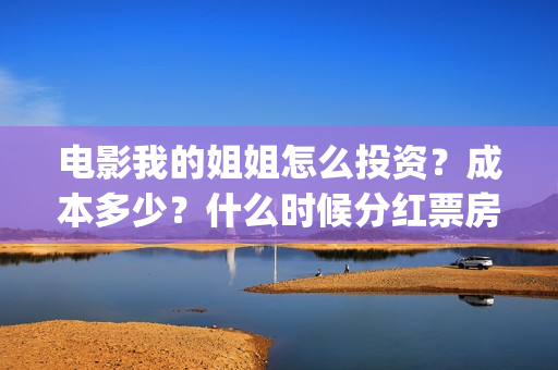 电影我的姐姐怎么投资？成本多少？什么时候分红票房？(我的姐姐标清)