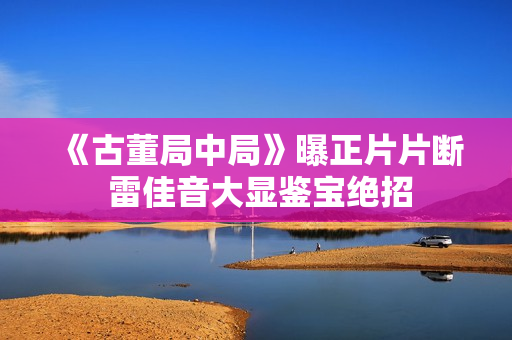 《古董局中局》曝正片片断 雷佳音大显鉴宝绝招