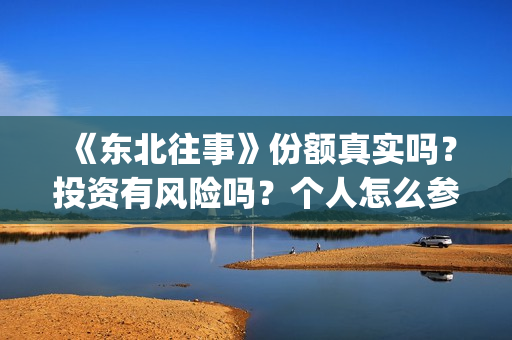 《东北往事》份额真实吗？投资有风险吗？个人怎么参与投资？(东北往事原文)