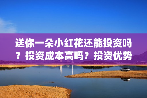 送你一朵小红花还能投资吗？投资成本高吗？投资优势是什么？(送你一朵小红花原唱)