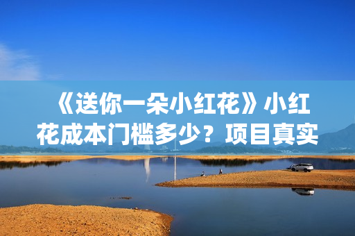  《送你一朵小红花》小红花成本门槛多少？项目真实可靠吗？(送你一朵小红花免费观看完整版)
