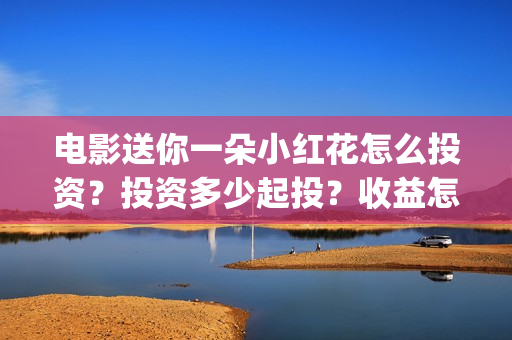 电影送你一朵小红花怎么投资?投资多少起投?收益怎么样?(电影送你一朵小红花讲述的主题是抗癌吗) 电影送你一朵小红花怎么投资?投资多少起投?收益怎么样?(电影送你一朵小红花讲述的主题是抗癌吗)