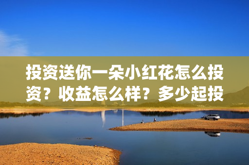 投资送你一朵小红花怎么投资?收益怎么样?多少起投?(投资送你一朵小红花) 投资送你一朵小红花怎么投资?收益怎么样?多少起投?(投资送你一朵小红花)