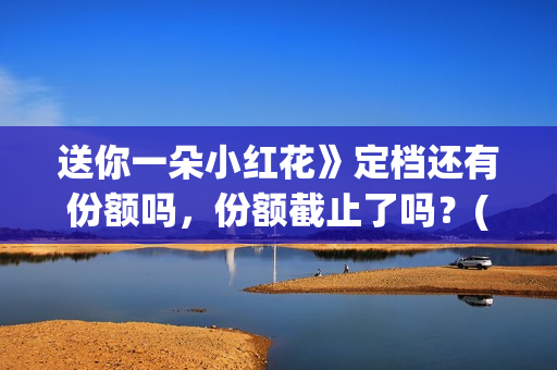 送你一朵小红花》定档还有份额吗，份额截止了吗？(送你一朵小红花电影)