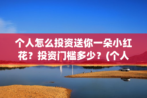 个人怎么投资送你一朵小红花？投资门槛多少？(个人怎么投资pe)