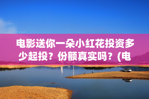 电影送你一朵小红花投资多少起投？份额真实吗？(电影送你一朵小红花简介)