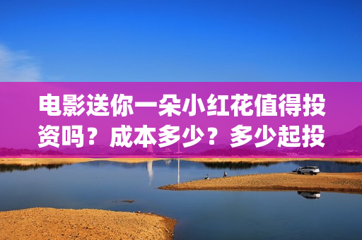 电影送你一朵小红花值得投资吗？成本多少？多少起投？ (电影送你一朵小红花讲述的主题是抗癌吗)