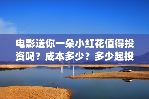 电影送你一朵小红花值得投资吗？成本多少？多少起投？(电影送你一朵小红花简介)