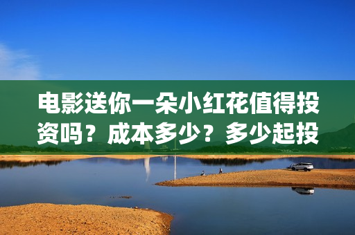 电影送你一朵小红花值得投资吗？成本多少？多少起投？(电影送你一朵小红花主题曲)
