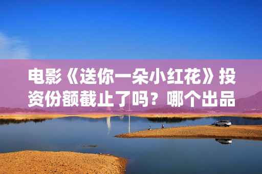 电影《送你一朵小红花》投资份额截止了吗？哪个出品方还有份额？投资门槛多少？(电影送你一朵小红花剧情介绍)