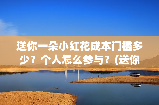 送你一朵小红花成本门槛多少？个人怎么参与？(送你一朵小红花简谱)