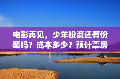 电影再见，少年投资还有份额吗？成本多少？预计票房？(电影再见少年票房)