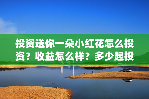 投资送你一朵小红花怎么投资?收益怎么样?多少起投?(投资送你一朵小红花好看吗) 投资送你一朵小红花怎么投资?收益怎么样?多少起投?(投资送你一朵小红花好看吗)