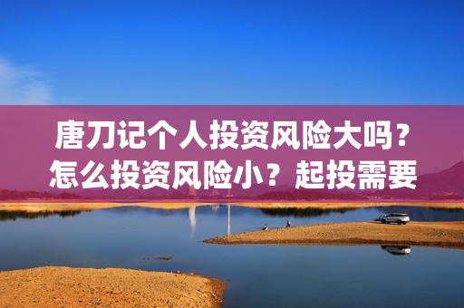 唐刀记个人投资风险大吗？怎么投资风险小？起投需要门槛吗？(唐刀纪录片视频)