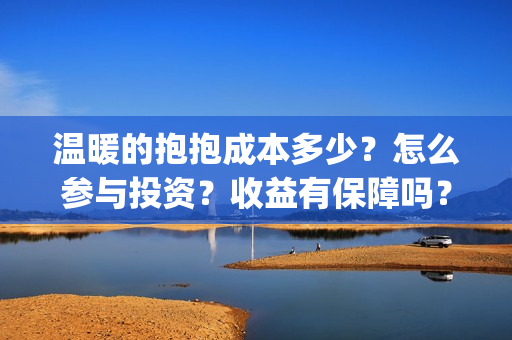 温暖的抱抱成本多少？怎么参与投资？收益有保障吗？(温暖的抱抱总投资多少)