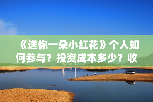 《送你一朵小红花》个人如何参与？投资成本多少？收益空间大吗？(送你一朵小红花歌词)
