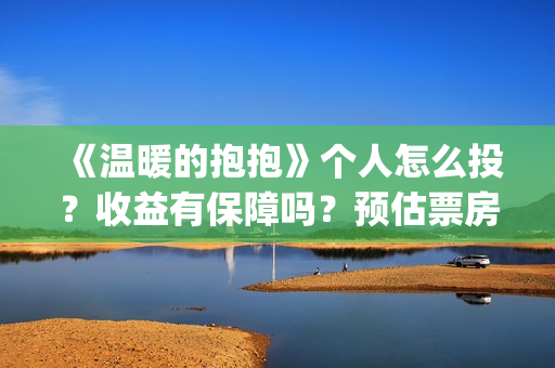 《温暖的抱抱》个人怎么投？收益有保障吗？预估票房多少？(温暖的抱抱为什么禁了)