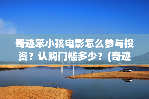 奇迹笨小孩电影怎么参与投资？认购门槛多少？(奇迹笨小孩电影下载)