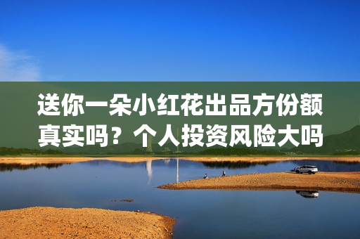 送你一朵小红花出品方份额真实吗？个人投资风险大吗？(送你一朵小红花歌词表达什么意思)