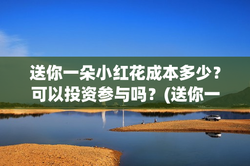 送你一朵小红花成本多少？可以投资参与吗？(送你一朵小红花电影免费观看)