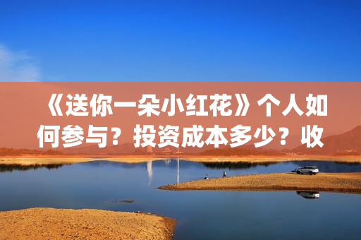 《送你一朵小红花》个人如何参与？投资成本多少？收益空间大吗？(送你一朵小红花简谱)