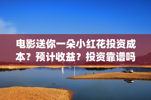 电影送你一朵小红花投资成本？预计收益？投资靠谱吗？(电影送你一朵小红花演员表)