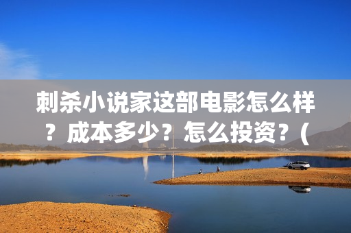 刺杀小说家这部电影怎么样？成本多少？怎么投资？(刺杀小说家说的是)