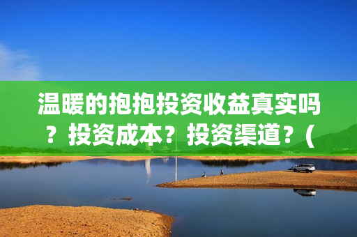 温暖的抱抱投资收益真实吗？投资成本？投资渠道？(温暖的抱抱 投资成本)