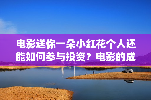 电影送你一朵小红花个人还能如何参与投资？电影的成本是多少？(电影送你一朵小红花完整版免费观看)
