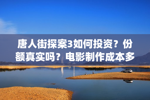 唐人街探案3如何投资？份额真实吗？电影制作成本多少？(唐人街探案三的讲解)