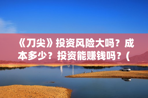 《刀尖》投资风险大吗？成本多少？投资能赚钱吗？(刀尖主演)