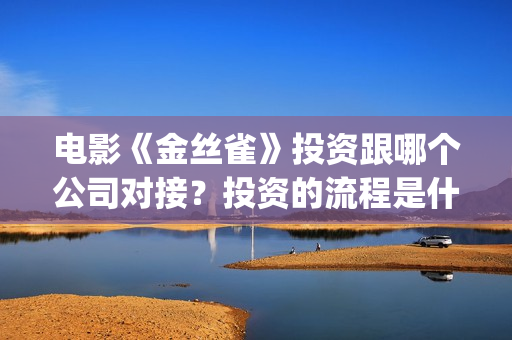 电影《金丝雀》投资跟哪个公司对接？投资的流程是什么？(金丝雀动画)