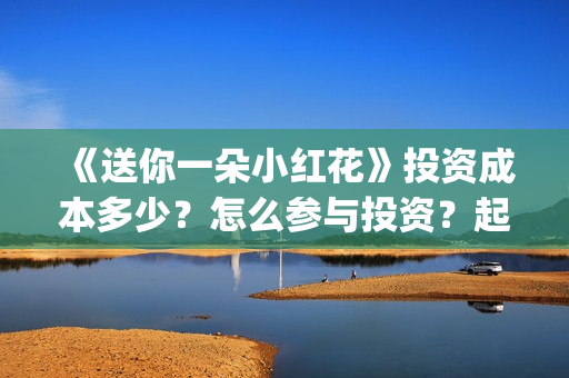 《送你一朵小红花》投资成本多少？怎么参与投资？起投多少？(送你一朵小红花电影)
