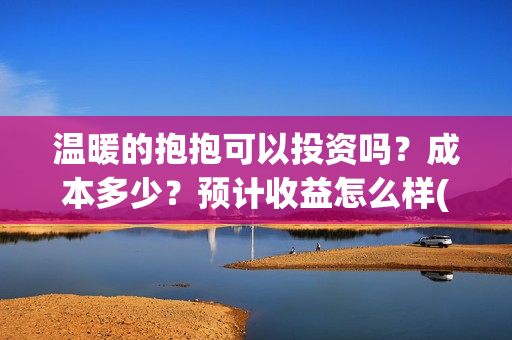 温暖的抱抱可以投资吗？成本多少？预计收益怎么样(温暖的抱抱咋样)