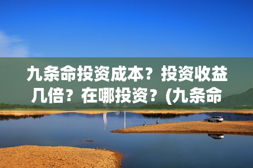 九条命投资成本？投资收益几倍？在哪投资？(九条命 出品方)