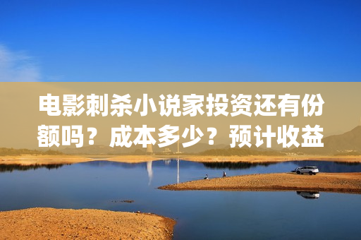 电影刺杀小说家投资还有份额吗？成本多少？预计收益？(电影刺杀小说家2免费观看完整版高清)