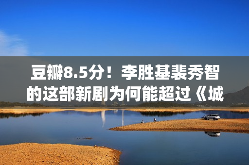 豆瓣8.5分！李胜基裴秀智的这部新剧为何能超过《城市猎人》？(李胜利是什么电视剧的人物)