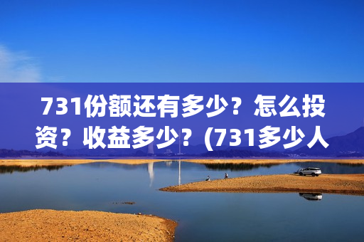 731份额还有多少？怎么投资？收益多少？(731多少人)